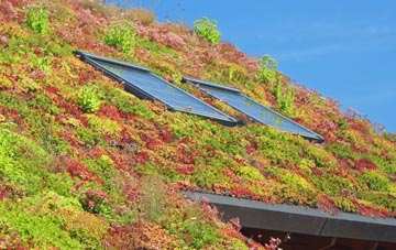 Strathpeffer living roof systems
